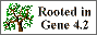 [Gene-Logo: Rooted in Gene]